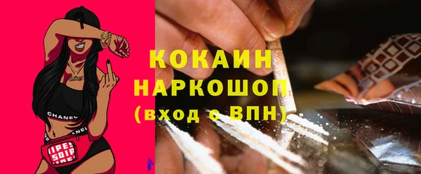 дживик Арсеньев