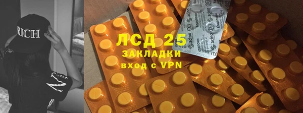 ГАЛЛЮЦИНОГЕННЫЕ ГРИБЫ Алексеевка