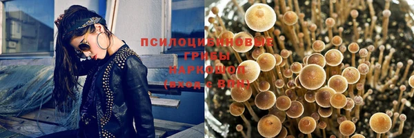 дживик Арсеньев