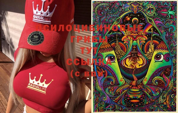 метадон Алзамай