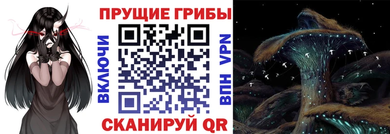 mega ссылки  цена   Солигалич  Галлюциногенные грибы Cubensis 